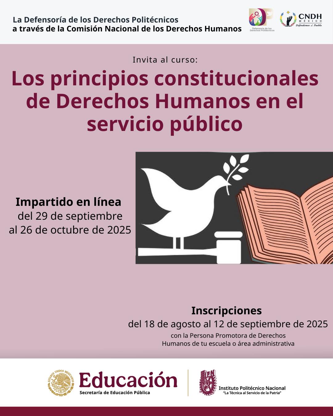los principios constitucionales